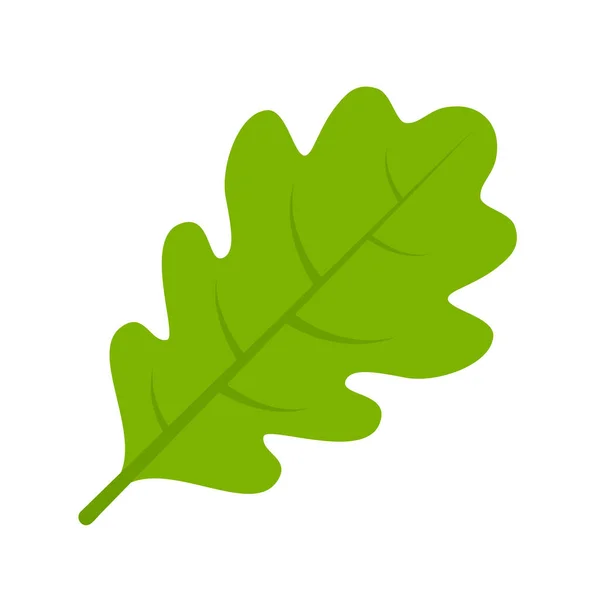 Zöld Tölgyfa Levél Vektor Illusztráció Elszigetelt Fehér Alapon — Stock Vector