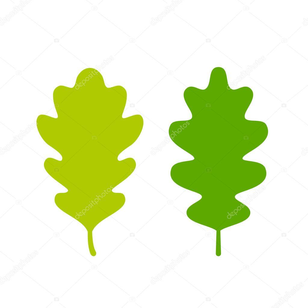 Two green oak leaves icons, vector illustration isolated on white background