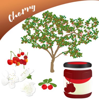 Vector of delicious fruit ideal for desserts and jams, in this you can see the tree, its flowers and the fruit, if you miss the tasty jam that is in a jar. clipart