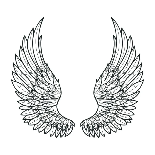 Un par de alas. dibujado a mano. Blanco y negro. Vector — Vector de stock