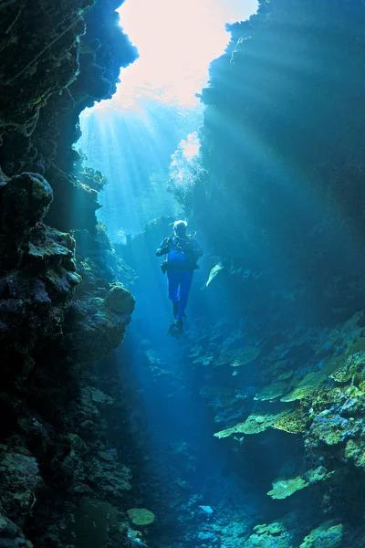 Scuba Diver in zonnestralen. Rechtenvrije Stockafbeeldingen