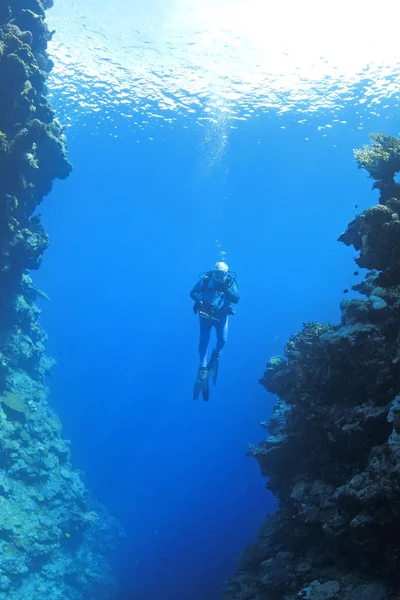 スキューバダイバーは水中で — ストック写真