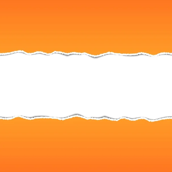 Yırtık kağıt. Arka plan vektör çizim