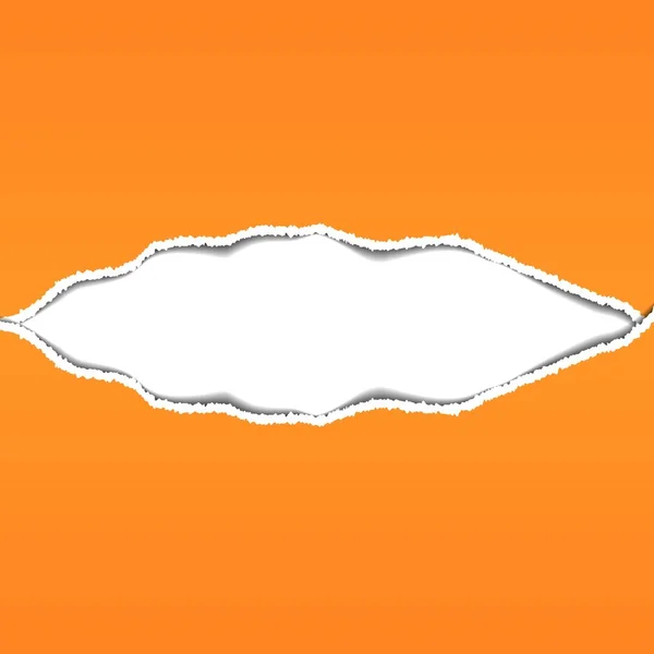 Yırtık kağıt. Arka plan vektör çizim