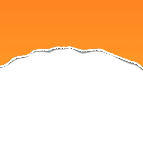 Yırtık kağıt. Arka plan vektör çizim