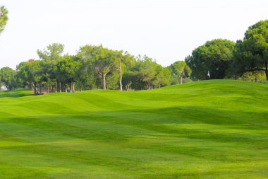 boş yeşil etkinlik alanı piknik, golf veya eğlence için