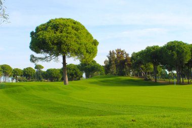 boş yeşil etkinlik alanı piknik, golf veya eğlence için