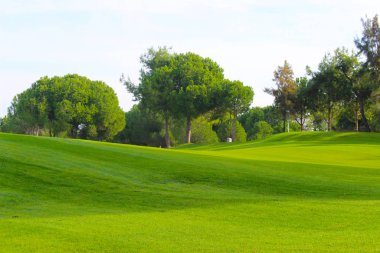 boş yeşil etkinlik alanı piknik, golf veya eğlence için