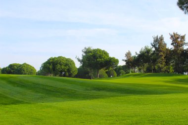 boş yeşil etkinlik alanı piknik, golf veya eğlence için