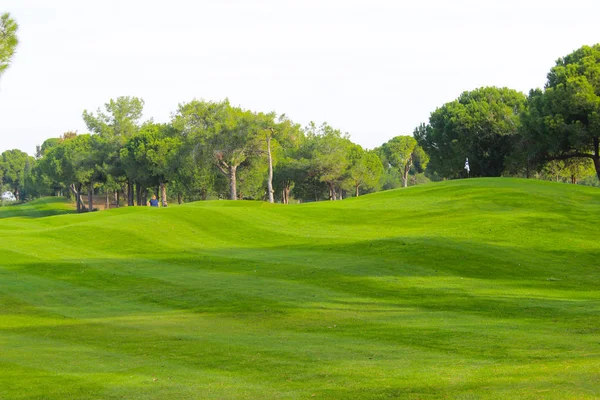 Zona Verde Vacía Para Picnic Golf Entretenimiento — Foto de Stock