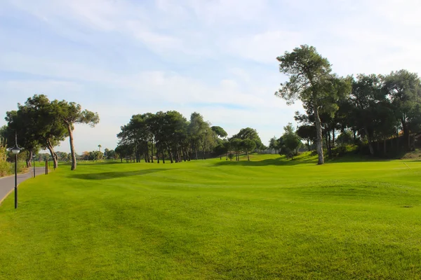 Prázdné Zelené Místo Pro Piknik Golf Nebo Zábavu — Stock fotografie