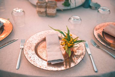 Çatal, bıçak ve peçete ile zarif Tablo ayarı