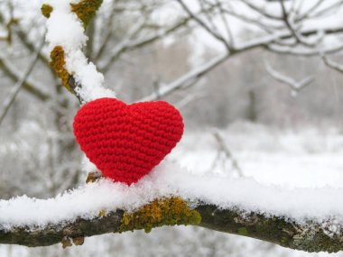 Kış ormanında sevgililer günü kalbi. Kırmızı örülmüş kalp, kardaki aşkın sembolü ağaç dalında, Sevgililer Günü konsepti.