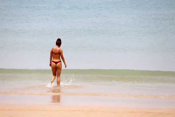 Zeevakanties Slank Meisje String Bikini Gaat Zwemmen Achteraanzicht Begrip Zwemmen — Stockfoto