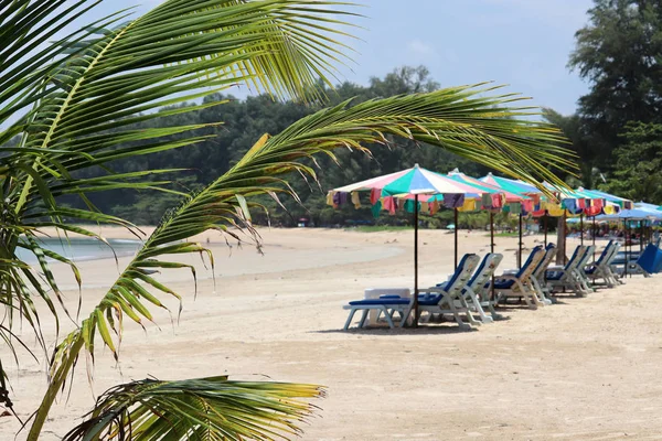 Spiaggia Tropicale Sabbia Con Lettini Ombrelloni Vuoti Fila Vista Attraverso — Foto Stock