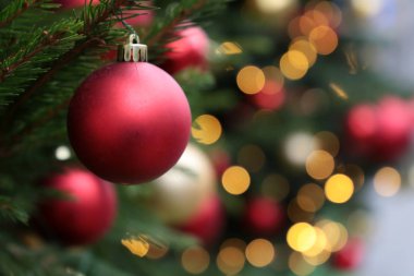 Noel süslemeleri, şenlik ışıkları arka planındaki köknar dalları, gece aydınlatması. Oyuncak topları olan yeni yıl ağacı, arka plan için büyülü bir tatil.