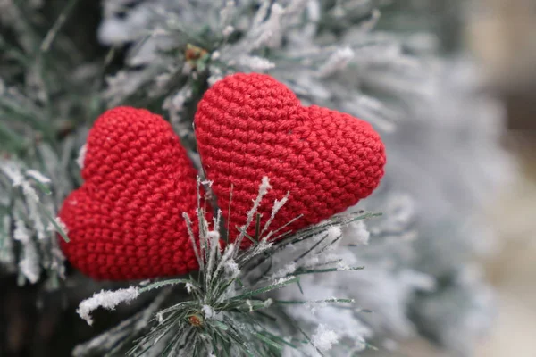 Два Рождественских Сердца Красные Вязаные Символы Любви Снегу Еловых Ветвях — стоковое фото