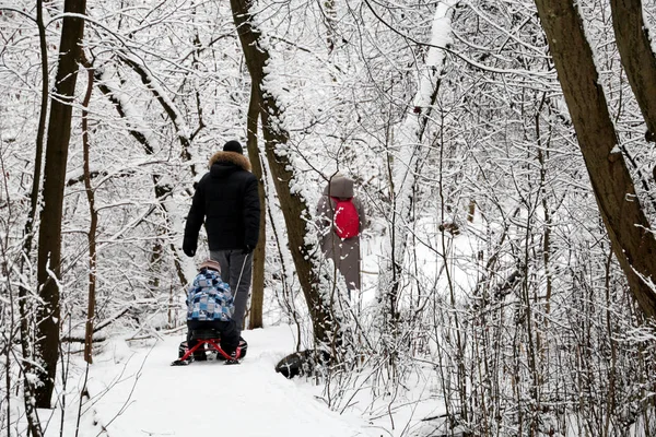 Ocio Familiar Bosque Invierno Papá Monta Niño Trineo Chico Divirtiéndose — Foto de Stock