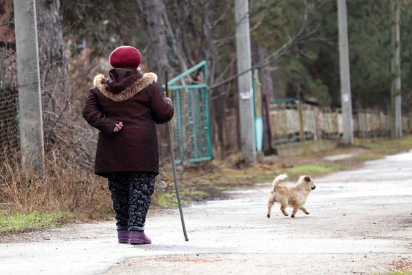 Idosa Caminhando Com Pau Estrada Rural Velhice Doenças Coluna Vertebral — Fotografia de Stock