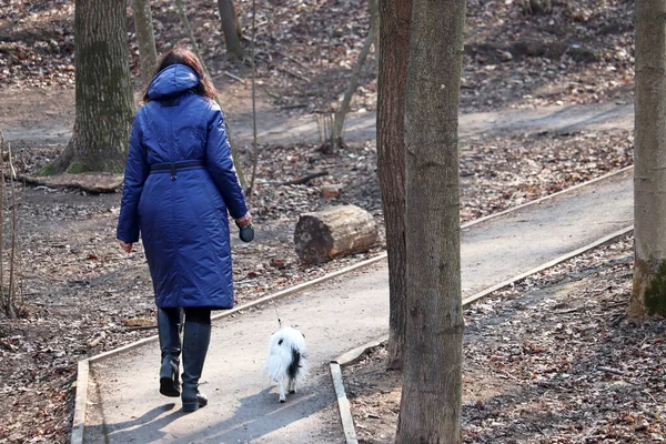 Uma Mulher Passear Com Cão Numa Coleira Num Parque Primaveril — Fotografia de Stock