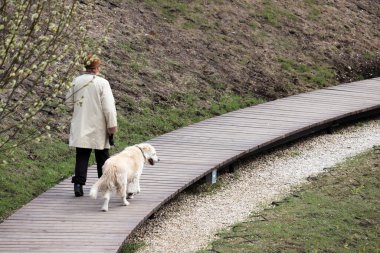 Bir bahar parkında tasmalı bir köpeği gezdiren bir kadın. Koronavirüs salgını sırasında evcil hayvan bakımı