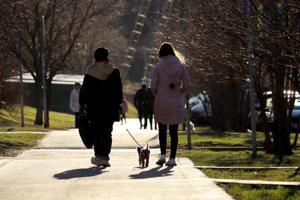 Folk Som Rastar Hund Vårgata Vård Husdjur Karantänen Vid Covid — Stockfoto