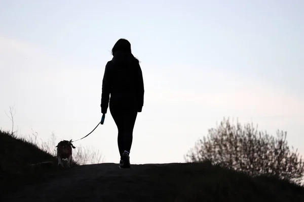 Силуэт Девушки Выгуливающей Собаку Поводке Холме Уход Животным Время Пандемии — стоковое фото
