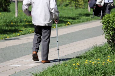Bahar parkında bastonuyla yürüyen yaşlı bir adam. Topallama kavramı, omurga hastalıkları.