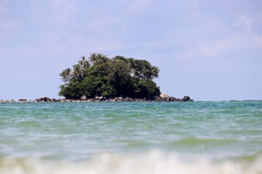 Okyanusta hindistan cevizi palmiyeleri olan tropik bir ada, sudan manzaralı, seçici odaklı. Mavi gökyüzü, seyahat ve deniz tatili konsepti ile renkli deniz manzarası