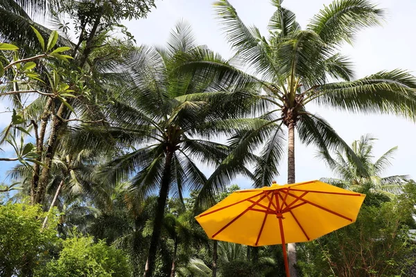 Tropenurlaub Sonnenschirm Und Kokospalmen Himmel Sommerurlaub Paradies Natur Badeort — Stockfoto