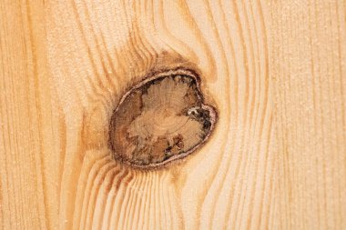 Tahta bir yüzeydeki bir dalın ayak izleri.