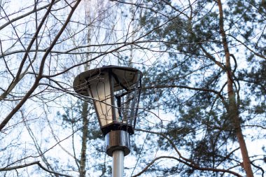 Old broken lantern among tree branches closeup