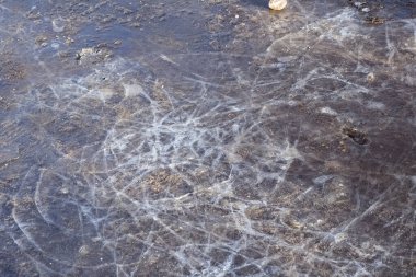 Shards of ice on a frozen ground