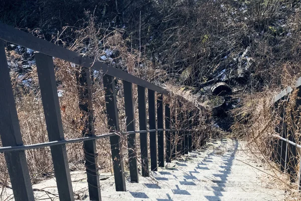 Escaliers Raides Bas Dans Parc Automne Gros Plan — Photo