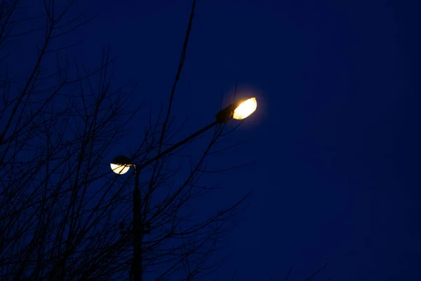 Duas Lâmpadas Uma Lâmpada Rua Contexto Céu Noturno Azul — Fotografia de Stock