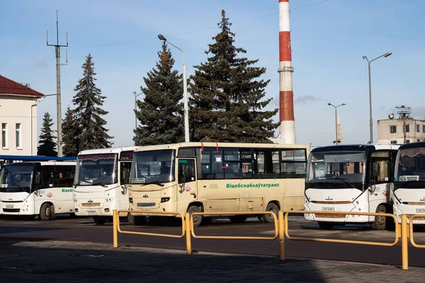 Białoruś Nowospolotsk Lutego 2020 Autobusy Dworcu Autobusowym Zamknij — Zdjęcie stockowe