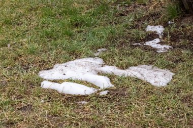 Yeşil ve sarı çimenlerin üzerinde kirli bir kar yığını
