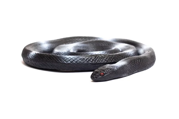 Schwarze Schlange Spielzeug Isoliert Auf Weißem Hintergrund Nahaufnahme — Stockfoto