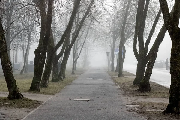 Belarus Novopolotsk March 2020 Fog City Park Morning — стокове фото