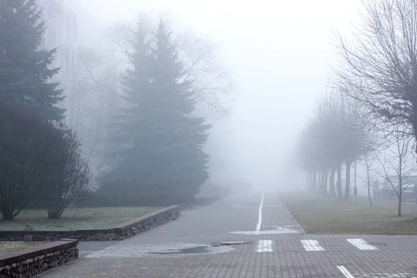 Nebbia nel parco autunnale al mattino — Foto Stock