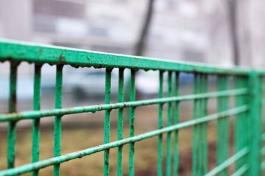 Green metal wet fence in the autumn park