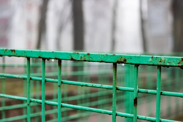 Green metal wet fence in the autumn park close up