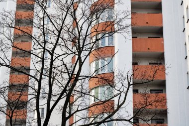 Modern yüksek apartman ve ağaç dalları kapanıyor.