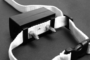 Siyah beyaz bir köpek için elektrik şoku verilmiş kırmızı tasma.