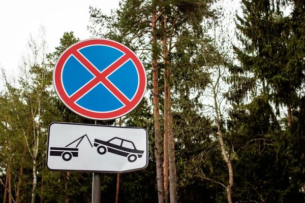 Bez Stop Silniční Značka Zelených Stromech Pozadí Kopírovat Prostor — Stock fotografie