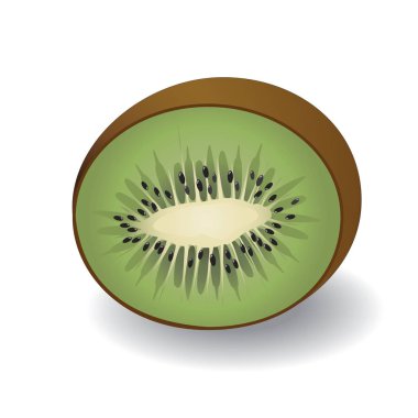 Yarım kivi vektör çizim