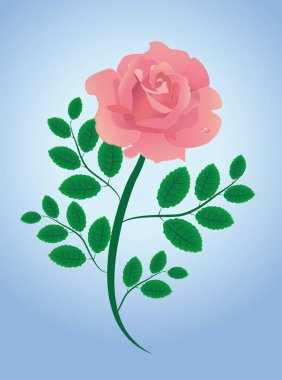 Resimli vektör ile gül pembe yaprak