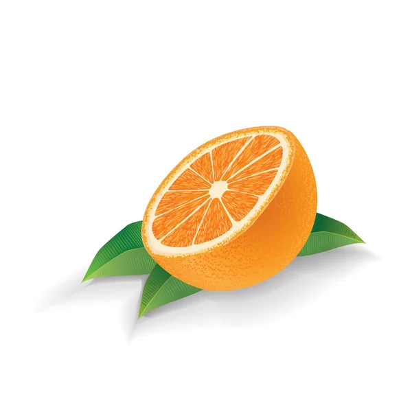 Vektör orange ile izole üzerinde beyaz arka plan bırakır — Stok Vektör
