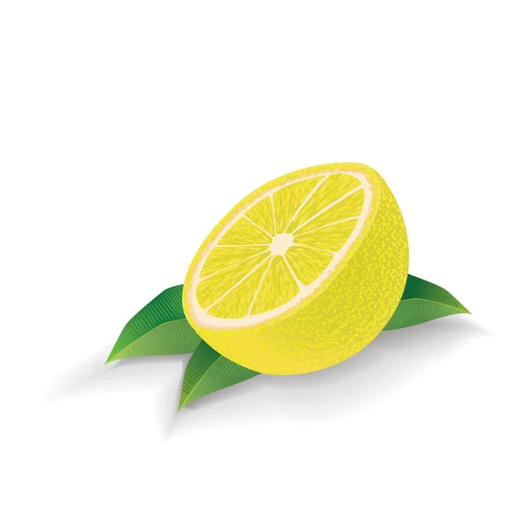 Citron avec des feuilles isolées sur fond blanc. Vecteur . — Image vectorielle