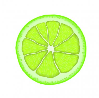 Vektör gerçekçi kireç dilim. Narenciye çizimi